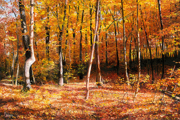 Autumn In Toronto