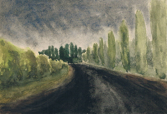 Summer Rain
