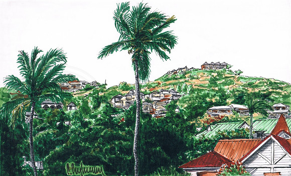 Houses On The Hills. Anse Marcel. St. Martin