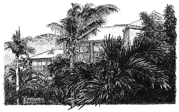 Landscape. Anse Marcel. St. Martin