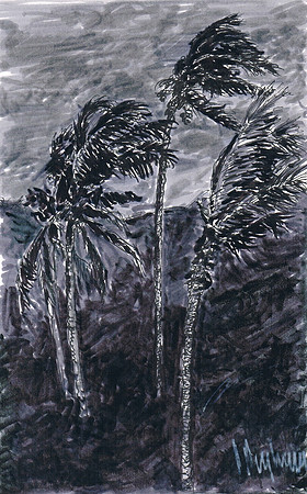 Tropical Storm "Erika". Anse Marcel. St. Martin