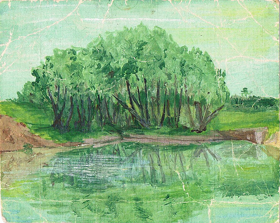 Pond In Steppe