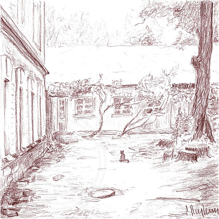 Courtyard In Old Kyiv