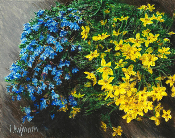 Blue And Yellow Flowers