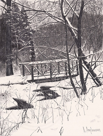 Winter In Lambton Woods, Toronto