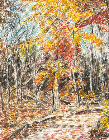 Autumn In Lambton Woods, Toronto