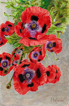Poppies of John McCrae