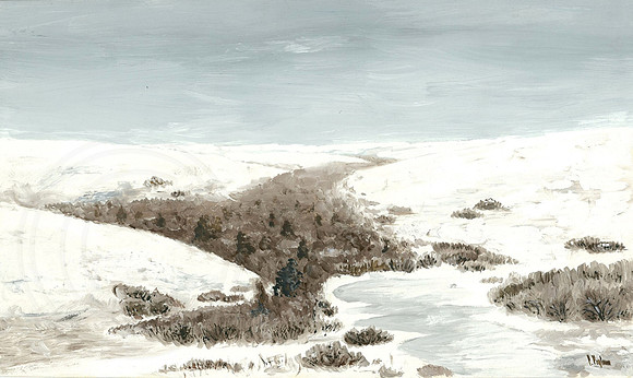 Steppe in February