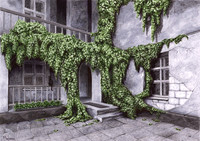 Courtyard in Old Kyiv