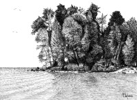 Lake Simcoe Shoreline