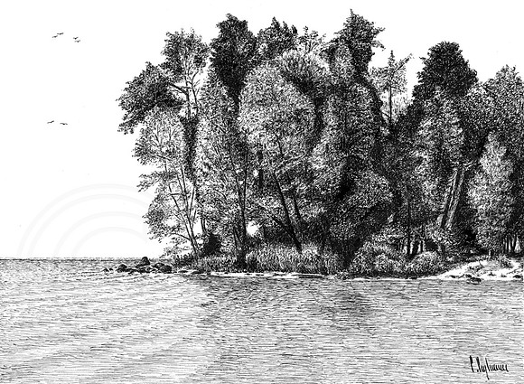 Lake Simcoe Shoreline