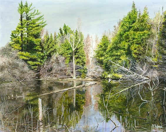 Springtime In Guelph