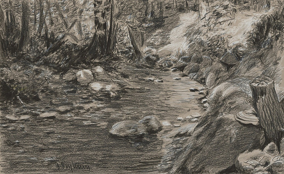 Forest Creek Near Georgian Bay