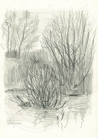 Spring Flood