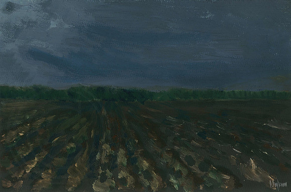 Steppe. Thunderstorm Coming